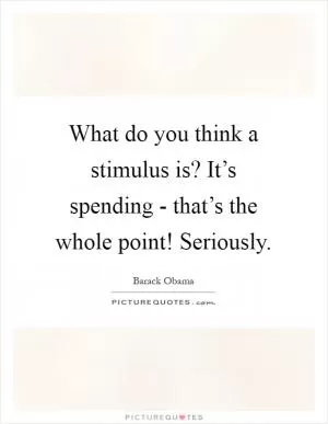 What do you think a stimulus is? It’s spending - that’s the whole point! Seriously Picture Quote #1