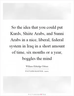 So the idea that you could put Kurds, Shiite Arabs, and Sunni Arabs in a nice, liberal, federal system in Iraq in a short amount of time, six months or a year, boggles the mind Picture Quote #1