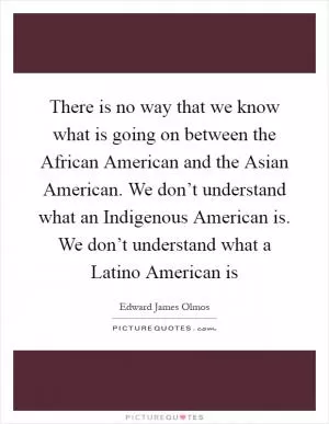 There is no way that we know what is going on between the African American and the Asian American. We don’t understand what an Indigenous American is. We don’t understand what a Latino American is Picture Quote #1
