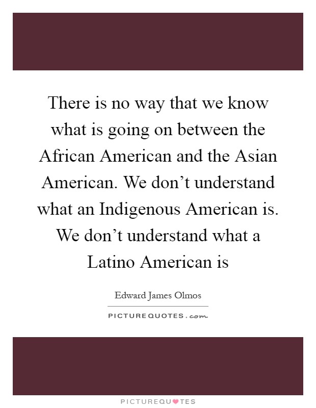 There is no way that we know what is going on between the African American and the Asian American. We don't understand what an Indigenous American is. We don't understand what a Latino American is Picture Quote #1