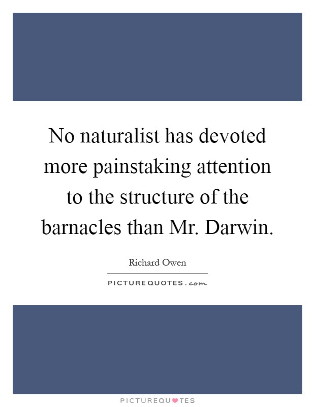 No naturalist has devoted more painstaking attention to the structure of the barnacles than Mr. Darwin Picture Quote #1