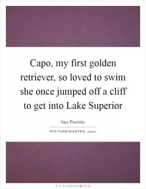 Capo, my first golden retriever, so loved to swim she once jumped off a cliff to get into Lake Superior Picture Quote #1