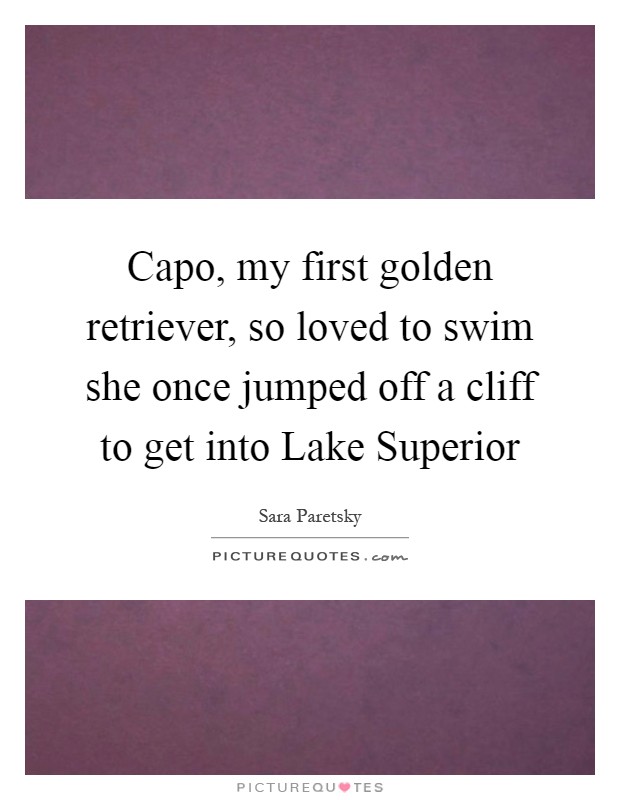 Capo, my first golden retriever, so loved to swim she once jumped off a cliff to get into Lake Superior Picture Quote #1