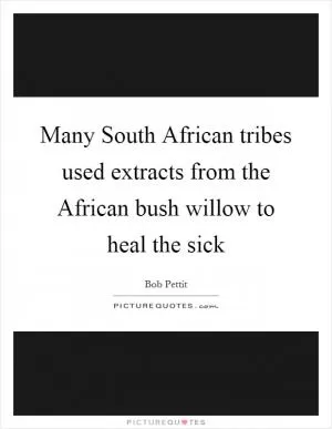 Many South African tribes used extracts from the African bush willow to heal the sick Picture Quote #1
