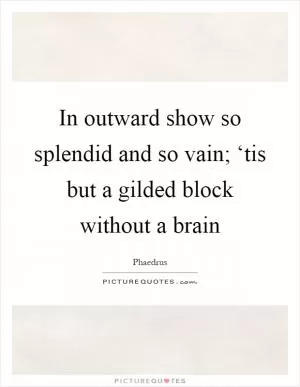 In outward show so splendid and so vain; ‘tis but a gilded block without a brain Picture Quote #1