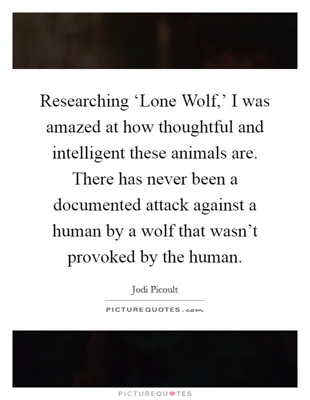 Researching ‘Lone Wolf,' I was amazed at how thoughtful and intelligent these animals are. There has never been a documented attack against a human by a wolf that wasn't provoked by the human Picture Quote #1