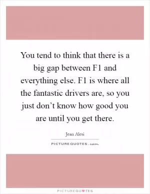 You tend to think that there is a big gap between F1 and everything else. F1 is where all the fantastic drivers are, so you just don’t know how good you are until you get there Picture Quote #1