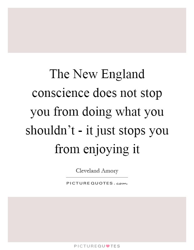 The New England conscience does not stop you from doing what you shouldn't - it just stops you from enjoying it Picture Quote #1