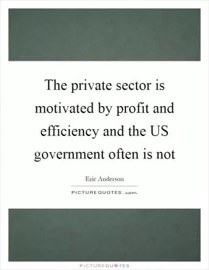 The private sector is motivated by profit and efficiency and the US government often is not Picture Quote #1