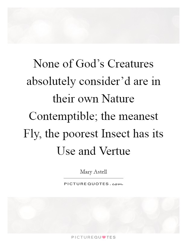 None of God's Creatures absolutely consider'd are in their own Nature Contemptible; the meanest Fly, the poorest Insect has its Use and Vertue Picture Quote #1