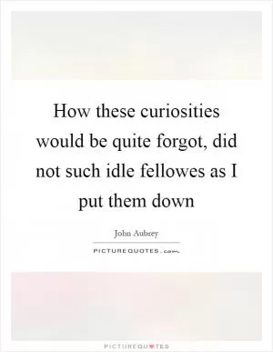 How these curiosities would be quite forgot, did not such idle fellowes as I put them down Picture Quote #1