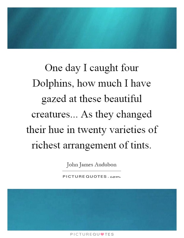 One day I caught four Dolphins, how much I have gazed at these beautiful creatures... As they changed their hue in twenty varieties of richest arrangement of tints Picture Quote #1
