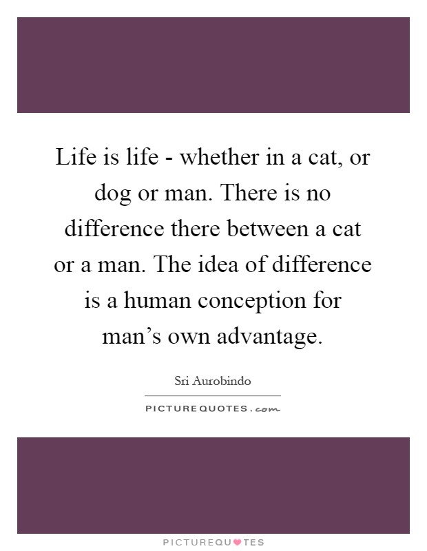 Life is life - whether in a cat, or dog or man. There is no difference there between a cat or a man. The idea of difference is a human conception for man's own advantage Picture Quote #1