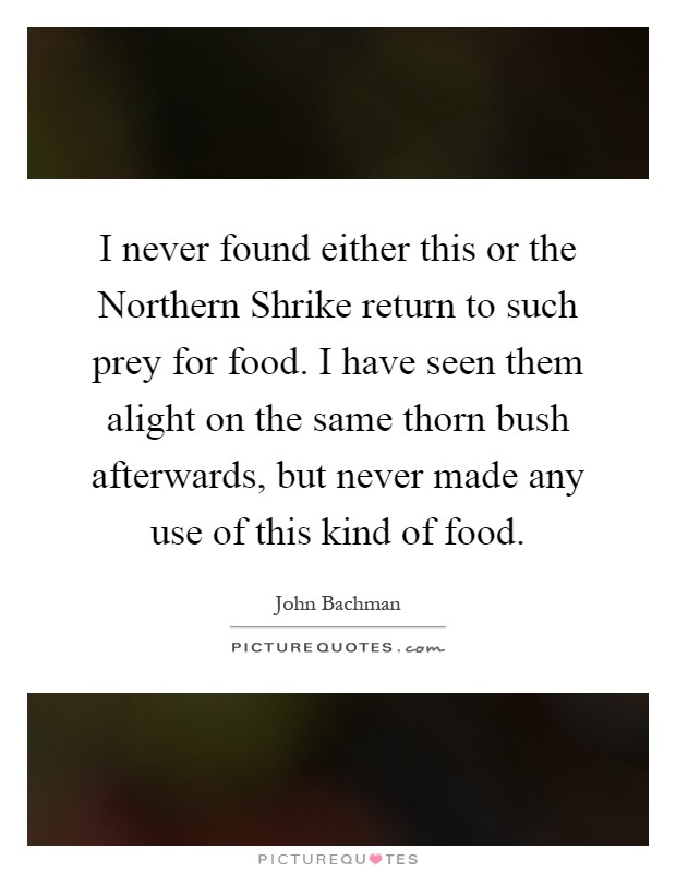 I never found either this or the Northern Shrike return to such prey for food. I have seen them alight on the same thorn bush afterwards, but never made any use of this kind of food Picture Quote #1