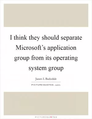 I think they should separate Microsoft’s application group from its operating system group Picture Quote #1