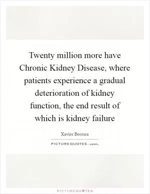 Twenty million more have Chronic Kidney Disease, where patients experience a gradual deterioration of kidney function, the end result of which is kidney failure Picture Quote #1