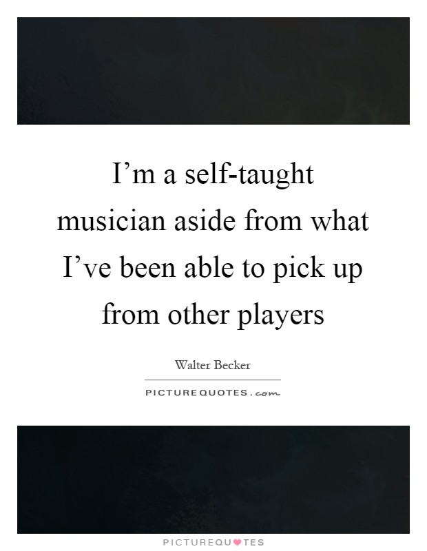 I'm a self-taught musician aside from what I've been able to pick up from other players Picture Quote #1