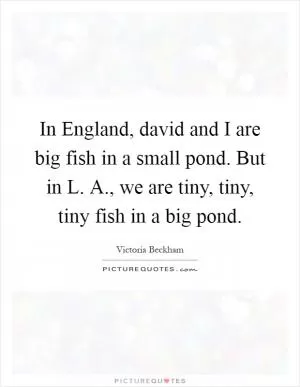 In England, david and I are big fish in a small pond. But in L. A., we are tiny, tiny, tiny fish in a big pond Picture Quote #1