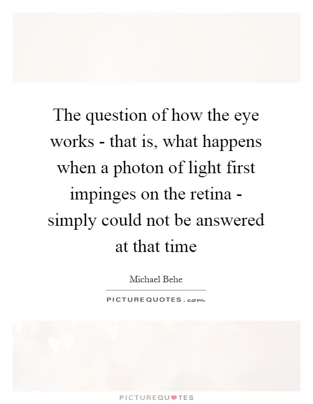 The question of how the eye works - that is, what happens when a photon of light first impinges on the retina - simply could not be answered at that time Picture Quote #1