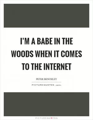 I’m a babe in the woods when it comes to the Internet Picture Quote #1