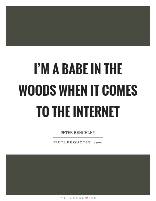 I'm a babe in the woods when it comes to the Internet Picture Quote #1