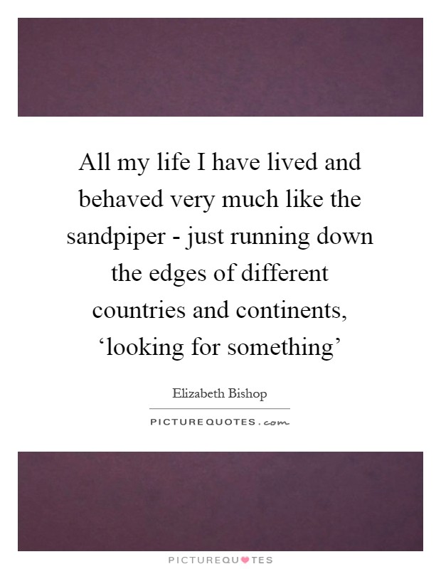 All my life I have lived and behaved very much like the sandpiper - just running down the edges of different countries and continents, ‘looking for something' Picture Quote #1