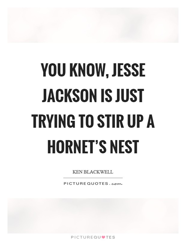 You know, Jesse Jackson is just trying to stir up a hornet's nest Picture Quote #1