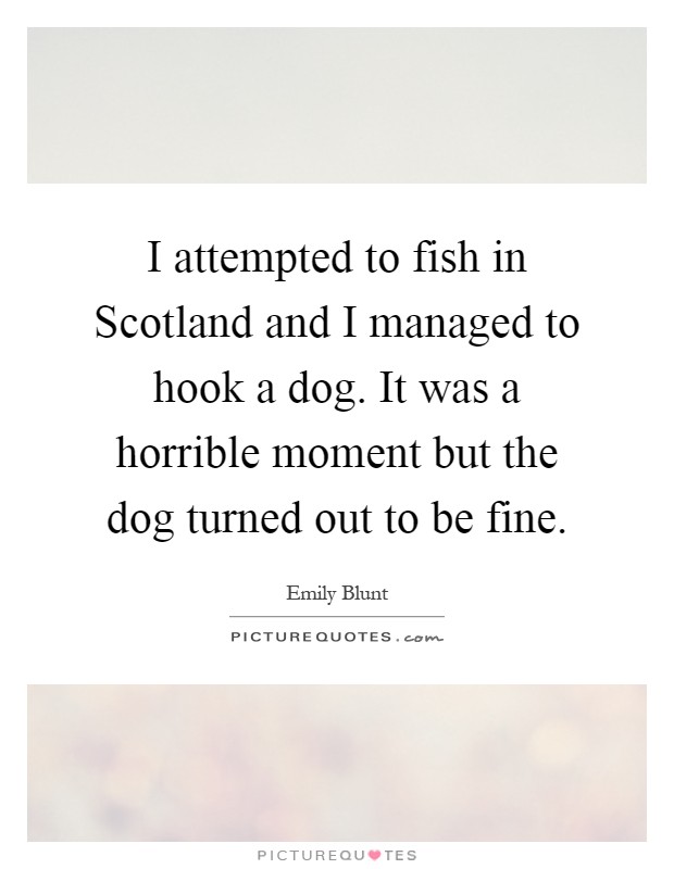 I attempted to fish in Scotland and I managed to hook a dog. It was a horrible moment but the dog turned out to be fine Picture Quote #1