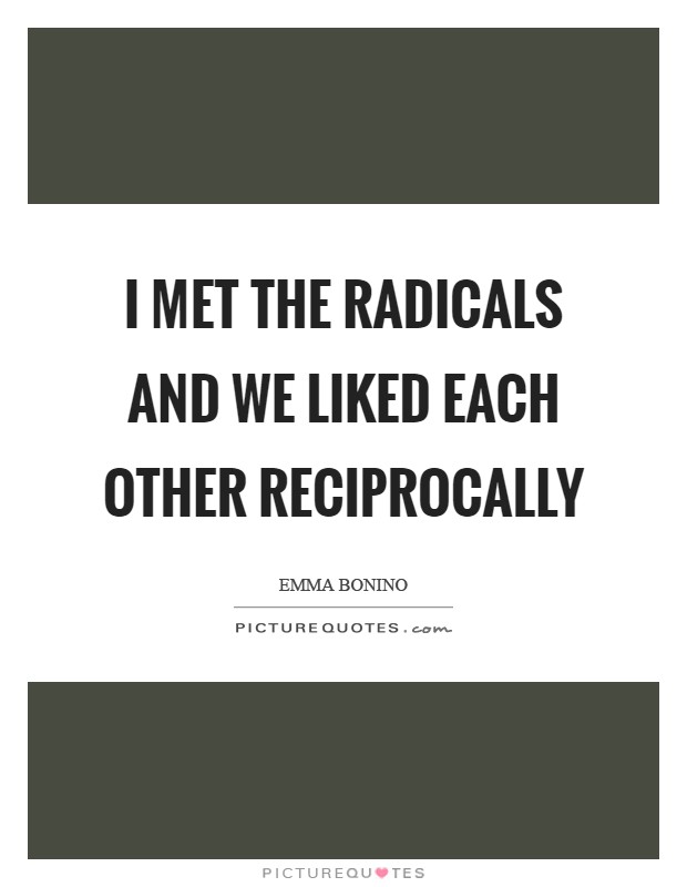 I met the Radicals and we liked each other reciprocally Picture Quote #1