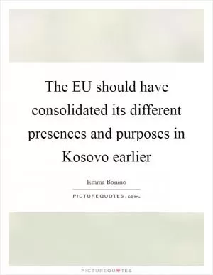 The EU should have consolidated its different presences and purposes in Kosovo earlier Picture Quote #1