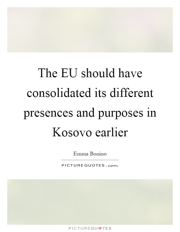 The EU should have consolidated its different presences and purposes in Kosovo earlier Picture Quote #1