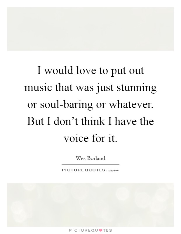 I would love to put out music that was just stunning or soul-baring or whatever. But I don't think I have the voice for it Picture Quote #1