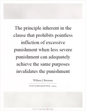 The principle inherent in the clause that prohibits pointless infliction of excessive punishment when less severe punishment can adequately achieve the same purposes invalidates the punishment Picture Quote #1