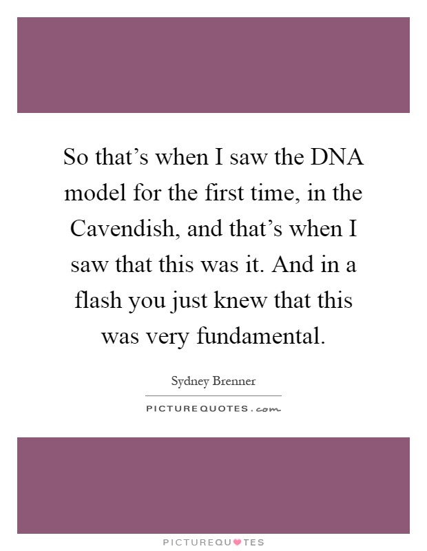 So that's when I saw the DNA model for the first time, in the Cavendish, and that's when I saw that this was it. And in a flash you just knew that this was very fundamental Picture Quote #1