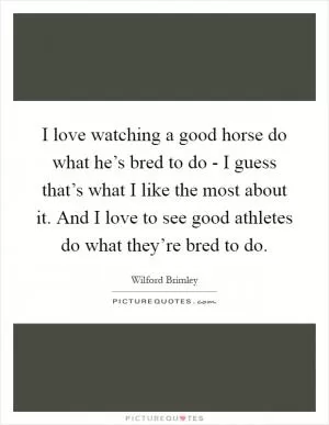 I love watching a good horse do what he’s bred to do - I guess that’s what I like the most about it. And I love to see good athletes do what they’re bred to do Picture Quote #1