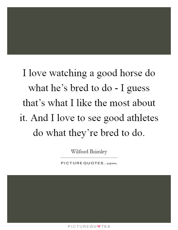 I love watching a good horse do what he's bred to do - I guess that's what I like the most about it. And I love to see good athletes do what they're bred to do Picture Quote #1