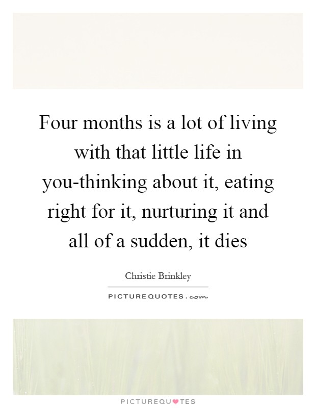 Four months is a lot of living with that little life in you-thinking about it, eating right for it, nurturing it and all of a sudden, it dies Picture Quote #1