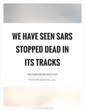 We have seen SARS stopped dead in its tracks Picture Quote #1