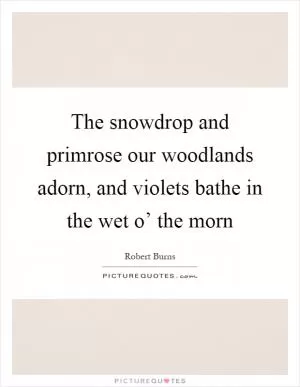 The snowdrop and primrose our woodlands adorn, and violets bathe in the wet o’ the morn Picture Quote #1