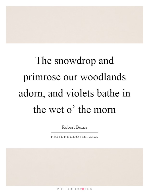 The snowdrop and primrose our woodlands adorn, and violets bathe in the wet o' the morn Picture Quote #1