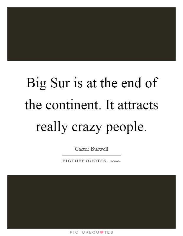 Big Sur is at the end of the continent. It attracts really crazy people Picture Quote #1