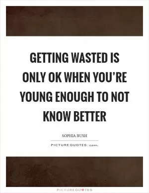 Getting wasted is only OK when you’re young enough to not know better Picture Quote #1