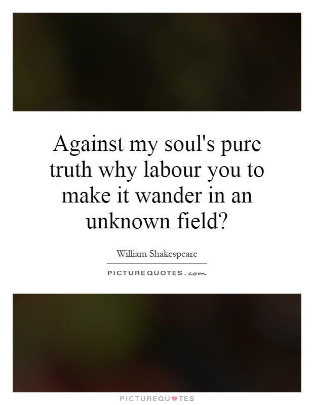 Against my soul's pure truth why labour you to make it wander in an unknown field? Picture Quote #1