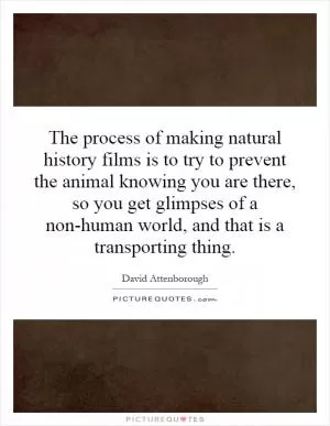 The process of making natural history films is to try to prevent the animal knowing you are there, so you get glimpses of a non-human world, and that is a transporting thing Picture Quote #1