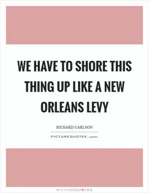 We have to shore this thing up like a New Orleans levy Picture Quote #1