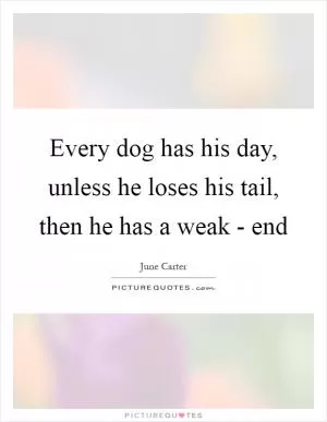 Every dog has his day, unless he loses his tail, then he has a weak - end Picture Quote #1