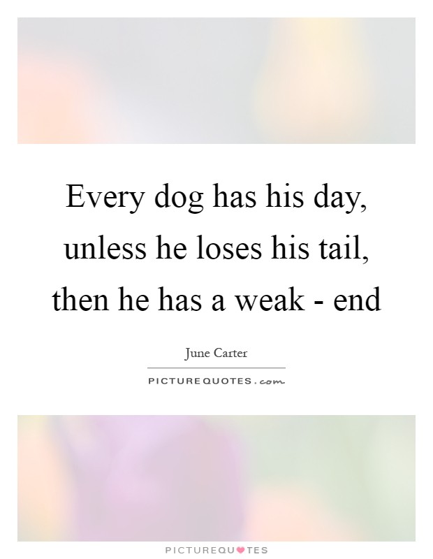 Every dog has his day, unless he loses his tail, then he has a weak - end Picture Quote #1