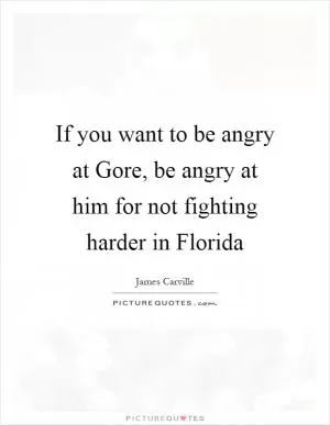 If you want to be angry at Gore, be angry at him for not fighting harder in Florida Picture Quote #1