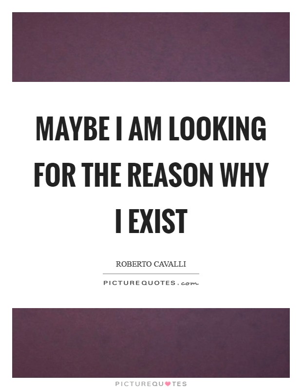 Maybe I am looking for the reason why I exist Picture Quote #1