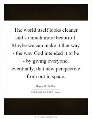 The world itself looks cleaner and so much more beautiful. Maybe we can make it that way - the way God intended it to be - by giving everyone, eventually, that new perspective from out in space Picture Quote #1